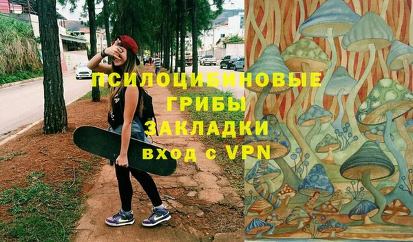 бошки Пересвет