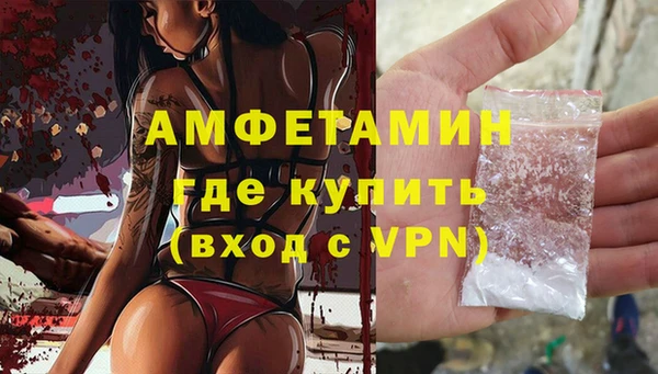 бошки Пересвет
