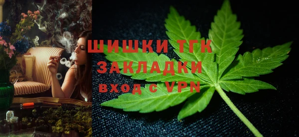 бошки Пересвет