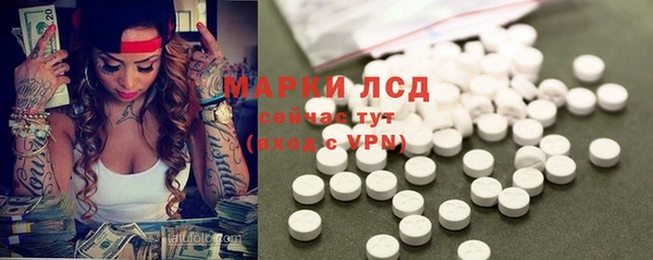бошки Пересвет