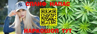 гашик Заводоуковск