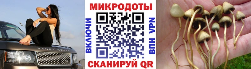 Псилоцибиновые грибы MAGIC MUSHROOMS  Старая Русса 