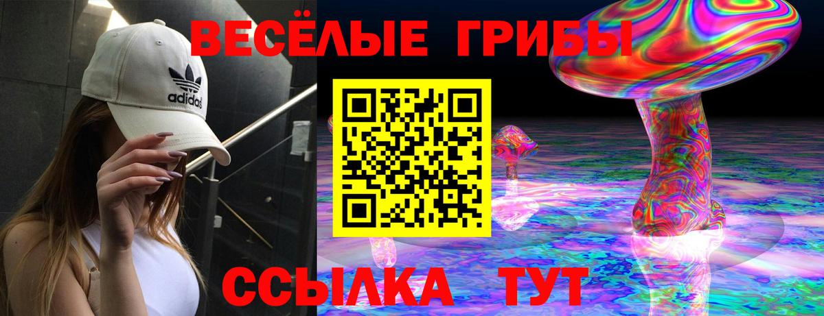 Псилоцибиновые грибы мухоморы Старая Русса
