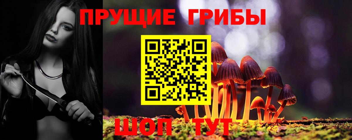 Старая Русса  Псилоцибиновые грибы ЛСД  Галлюциногенные грибы Cubensis  закладки  Вход с VPN 
